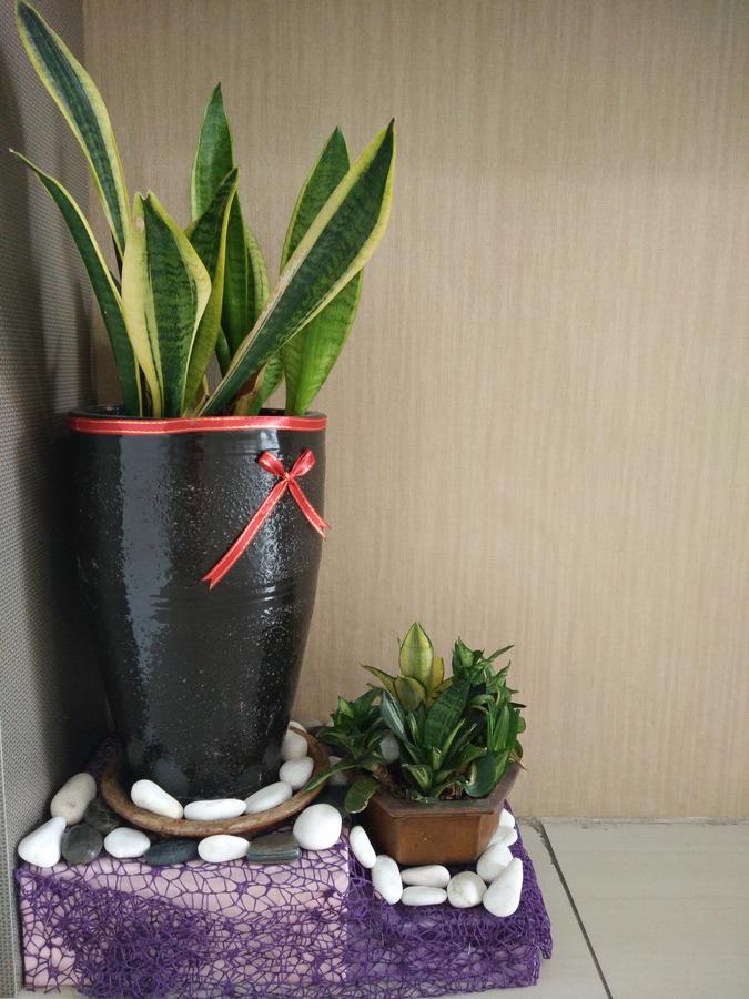Hotel Truly Asia Кота Кинабалу Екстериор снимка